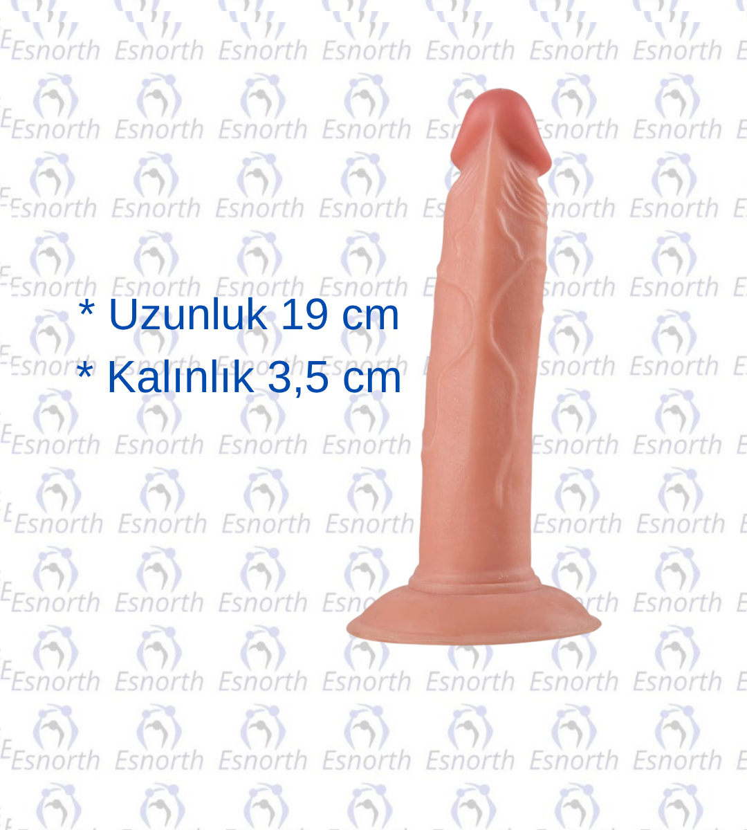 19 cm Realistik Vantuzlu Testissiz Dildo Penis - Realistik Penisler detay görseli 4